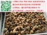 重庆乌鸡苗市场　合川正宗的乌皮红羽土鸡价格