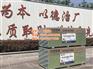 临沂石膏板批发,石膏板,鲁巧匠(图)