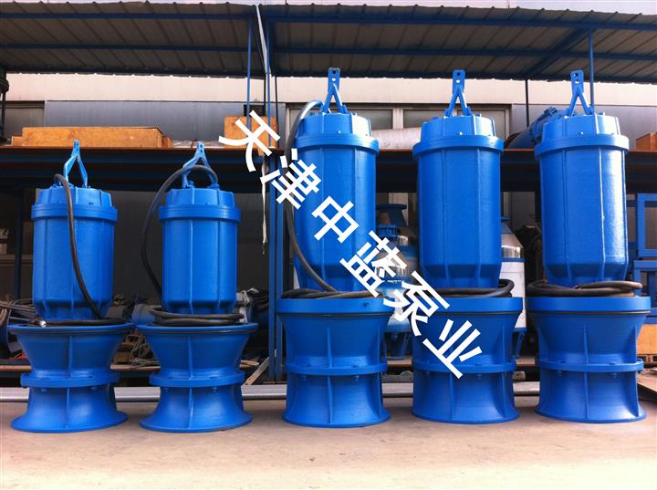 轴流泵 潜水轴流泵 技术支持 现货供应 轴流泵厂家