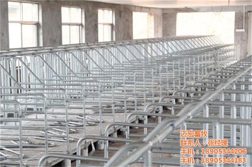 限位栏,养猪设备,限位栏价格  限位栏规格  冷镀管限位栏