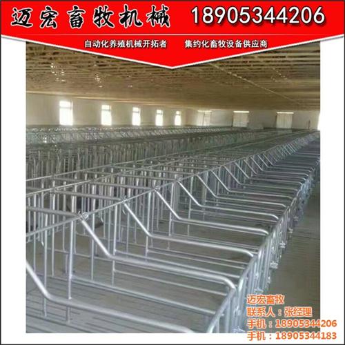 限位栏_养猪设备_冷镀管限位栏  限位栏规格  限位栏尺寸