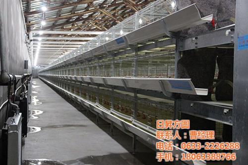 阶梯式肉鸡养殖设备_肉鸡养殖设备_方圆笼&nbsp;&nbsp;层叠式肉鸡养殖设&nbsp;&nbsp;三层肉鸡养殖设备