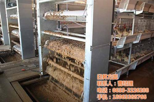 肉鸡养殖设备加工厂,肉鸡养殖设备,方圆笼  现代化肉鸡养殖设  层叠式肉鸡养殖设