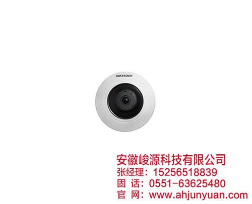 监控网络摄像机|宣城网络摄像机|安徽峻源  高清网络摄像机  网络摄像机公司
