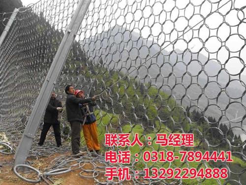被动环形网型号、彝良县被动环形网、被动环&nbsp;&nbsp;被动环形网厂&nbsp;&nbsp;被动环形网优势