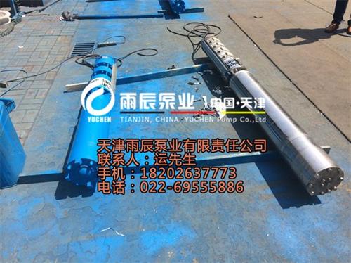 滑轮不锈钢潜水泵|不锈钢潜水泵|雨辰(图 大功率不锈钢潜水 雪橇不锈钢潜水泵