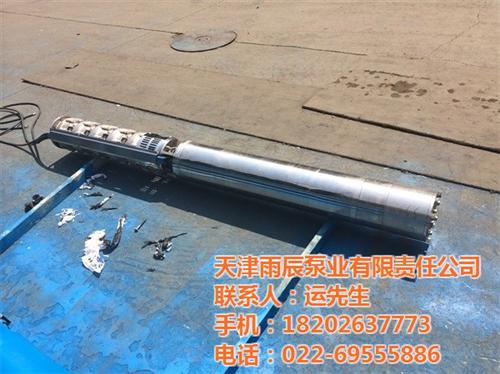 高扬程不锈钢潜水泵、不锈钢潜水泵、雨辰( 大流量不锈钢潜水 多级不锈钢潜水泵