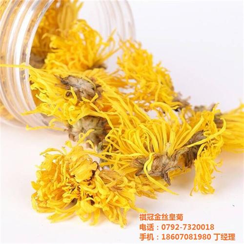 淮北金丝皇菊_祺冠金丝皇菊_金丝皇菊批发  金丝皇菊花茶  金丝皇菊加盟