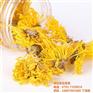 金丝皇菊|祺冠金丝皇菊|金丝皇菊礼盒
