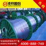 DXW-P城区输气管道保温用低温防爆伴热带