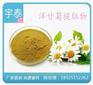 艾叶提取物加工|宇泰|艾叶提取物加工报价