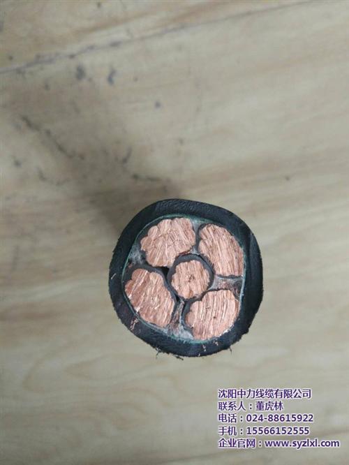中力线缆、漳州电缆、矿物电缆 BV系列电缆 屏蔽控制电缆