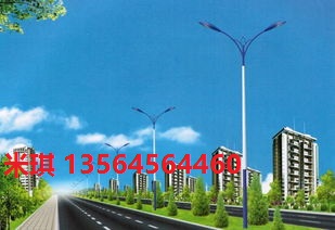 上海LED道路灯供应商&nbsp;&nbsp;新能源&nbsp;&nbsp;环保&nbsp;&nbsp;节能