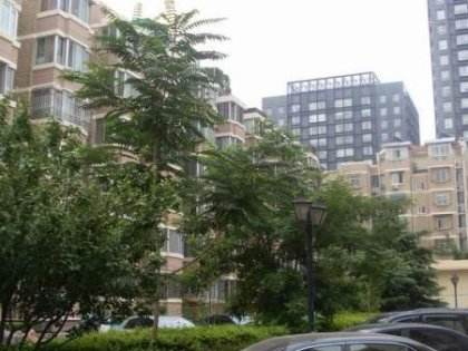 嘉兴金腾代理记账有限公司