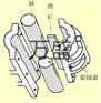 JQW夹壳联轴器报价 泊头刚性联轴器