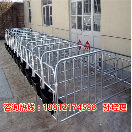 河北母猪产床的价格 猪舍常用的双体猪产床尺寸  双体猪产床价格