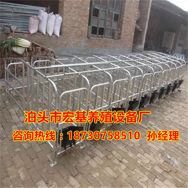 河北母猪产床的价格 猪舍常用的双体猪产床尺寸  双体猪产床价格