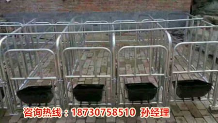 河北母猪产床的价格 猪舍常用的双体猪产床尺寸  双体猪产床价格