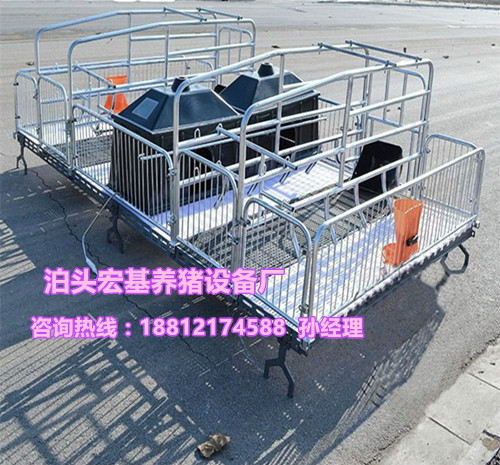 养猪设备猪用分娩床价格 双体猪产床厂家批发泊头宏基  母猪产床报价