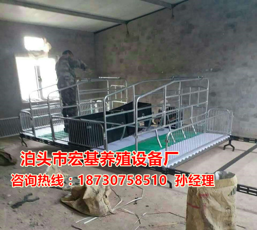 养猪设备猪用分娩床价格 双体猪产床厂家批发泊头宏基  母猪产床报价