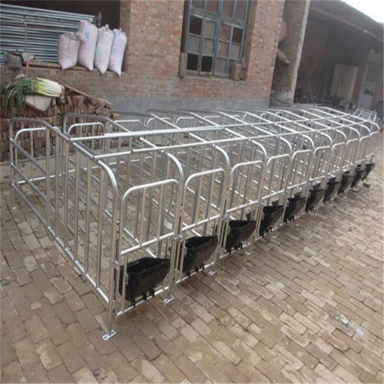 母猪限位栏可以让母猪使用多长时间 猪用定位栏厂家批发  限位栏尺寸  母猪定位栏批发  猪用限位栏报价