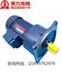 YS100W-4P 厦门东历多用途三相异步电动机