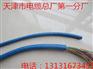 矿用拉力电缆MHYBV-7-2 带插头 带接头