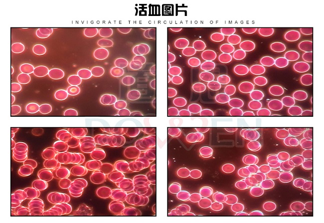 道恩黑背景一滴血检测仪303B便携款  显微镜