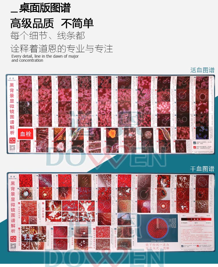 道恩黑背景305一滴血检测仪 挂图 小图 血液对比图  耗材