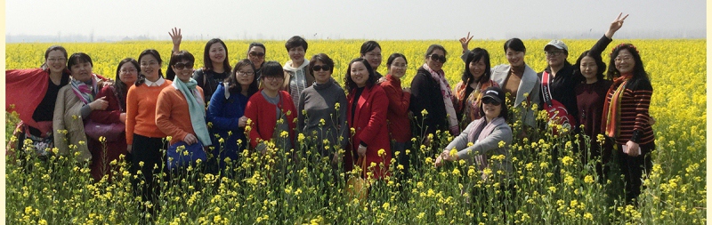 华中师范大学网教网址_科目查询  厂家价格