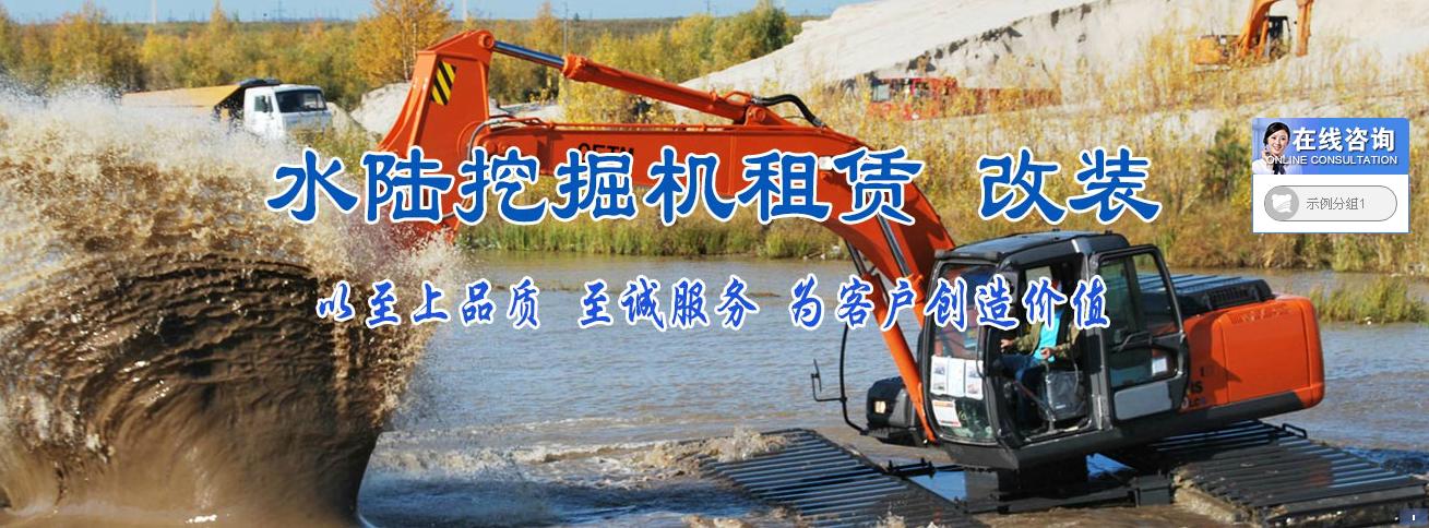 云南昭通水陆挖掘机出租报价