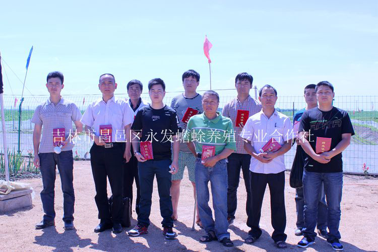 蟾蜍的养殖方法【吉林永蟾蜍】  厂家价格