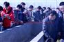 蟾蜍的养殖与加工技术【吉林永蟾蜍】
