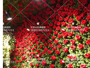 绿植墙/仿真绿植墙/假花墙/绿植墙面装饰  仿真植物墙