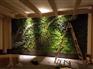 沈阳芳菲谷仿真植物墙装饰/仿真花卉绿植摆件
