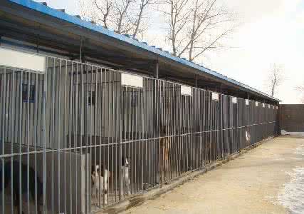 拉布拉多幼犬多少钱一只  拉布拉多价格  拉布拉多幼犬价格  哪里有卖拉布拉多的