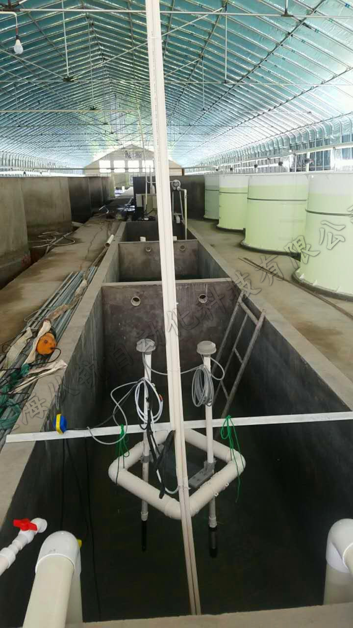南美白对虾工厂化养殖&nbsp;&nbsp;循环水养殖