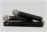 SHURE 舒尔BLX288/PG58双手持无线话筒