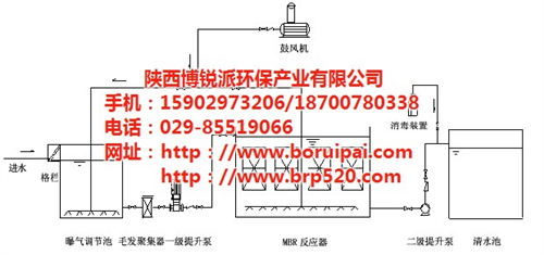 一体化中水回用设备|陕西中水回用|博锐派  专业生产中水回用  mbr 中水回用