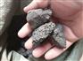 供应火山石滤料 火山石5-8cm 3-6cm 各种规格火山岩