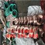 大厂高精c5210磷青铜线 高弹性硬度磷铜线批发