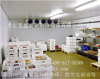 香蕉冷库-水果保鲜库维保