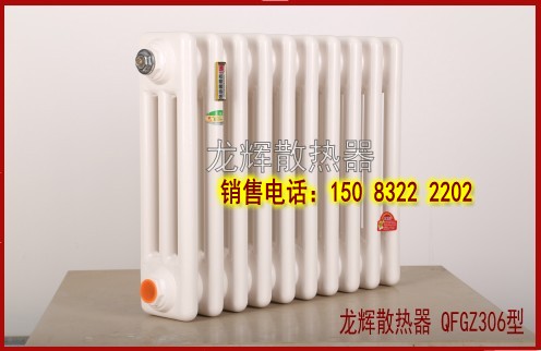 QFGZ306散热器/QF9B06散热器/钢制柱型散热器&nbsp;&nbsp;钢管柱型散热器