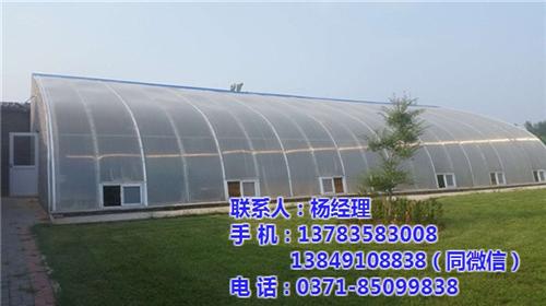 鹤壁阳光板温室,【欣荣温室工程】,阳光板 阳光板温室建设 阳光板温室价格 阳光板温室厂家