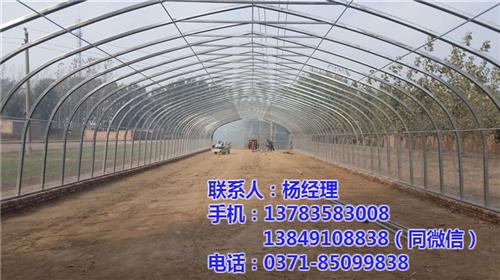 安阳温室大棚_【欣荣温室工程】_温室大棚 温室大棚厂家 温室大棚配件 温室大棚种类