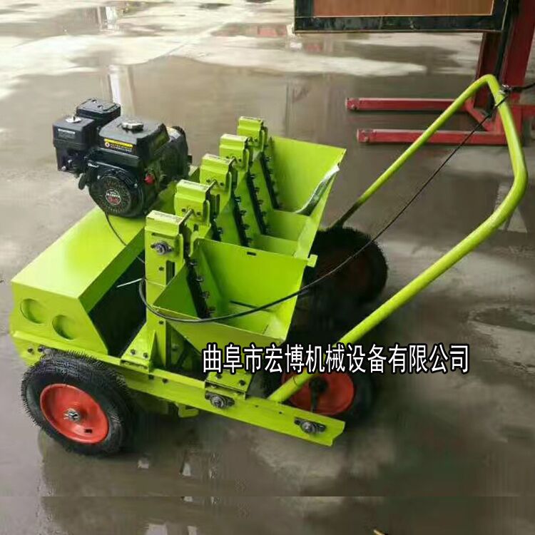 全自动大蒜播种机 大蒜播种机价格  新型大蒜播种机  5行种蒜机
