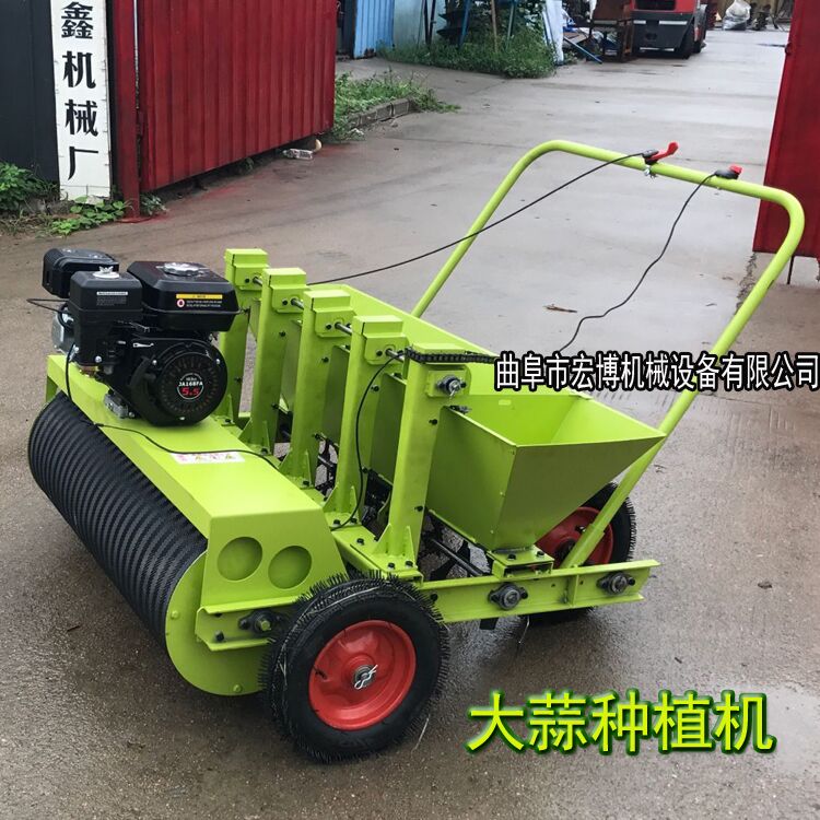 全自动大蒜播种机 大蒜播种机价格  新型大蒜播种机  5行种蒜机