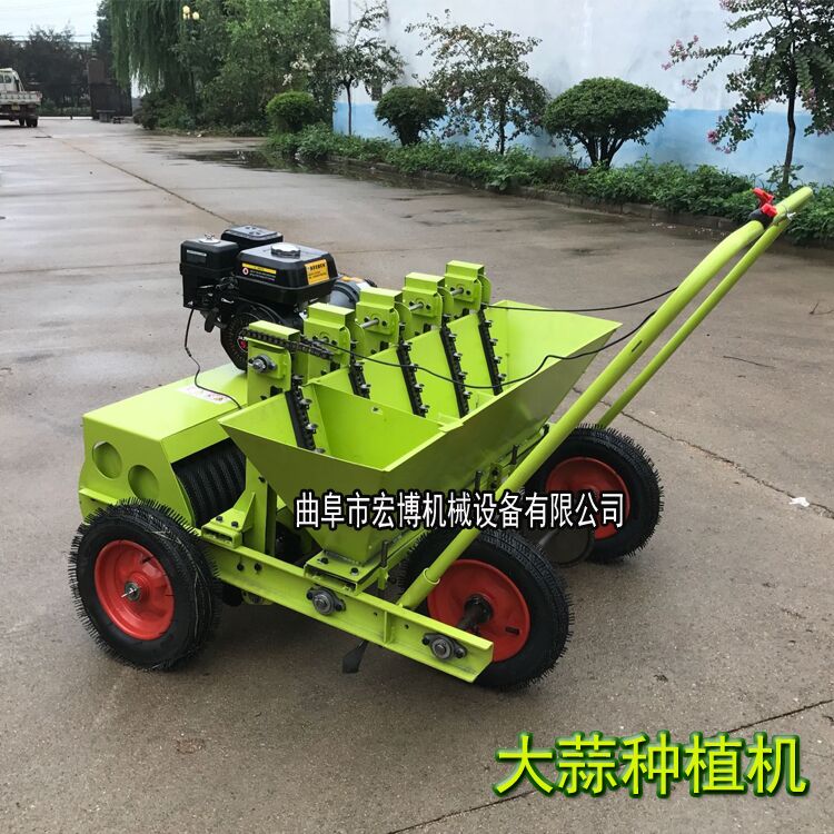 全自动大蒜播种机 大蒜播种机价格  新型大蒜播种机  5行种蒜机