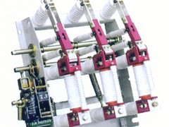 温州FZN21真空负荷开关厂家直销_FZ FZRN21-12D 高压真空负荷开关