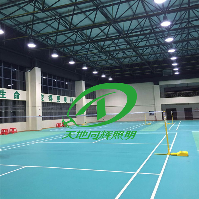供应学校酒店室内活动场馆LED照明灯具